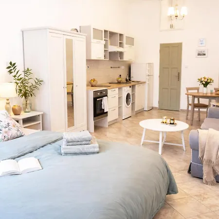Mestiansky Dom 1 Apartament